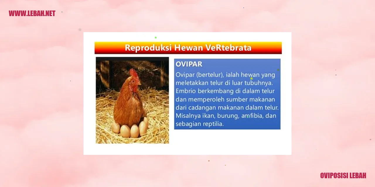 oviposisi lebah