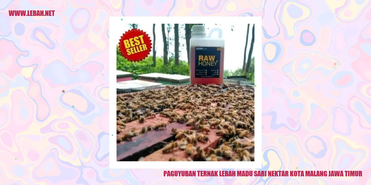 paguyuban ternak lebah madu sari nektar kota malang jawa timur
