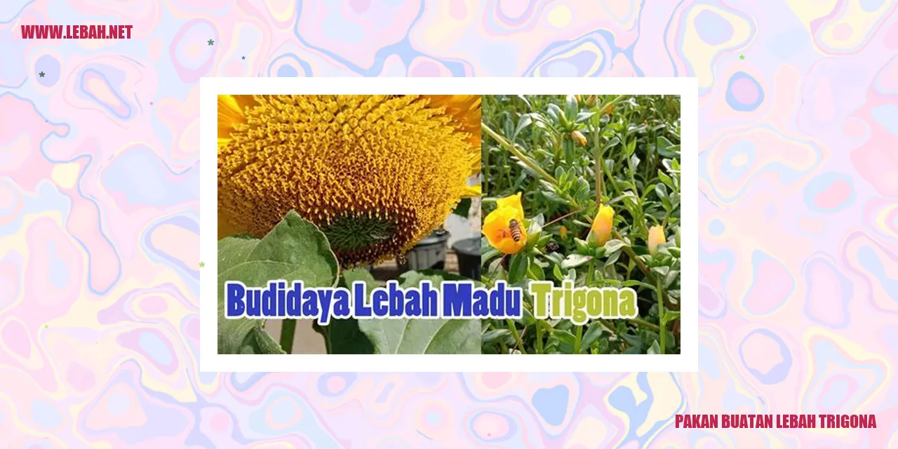 Lebah Kelulut