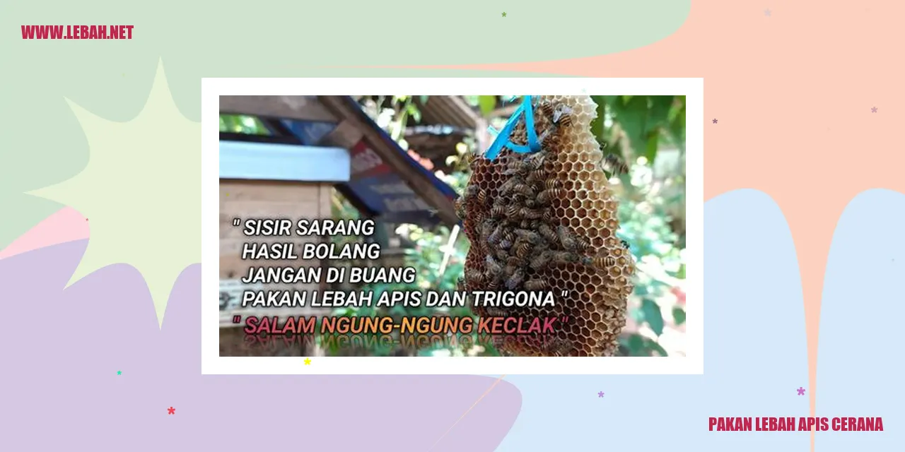 pakan lebah apis cerana