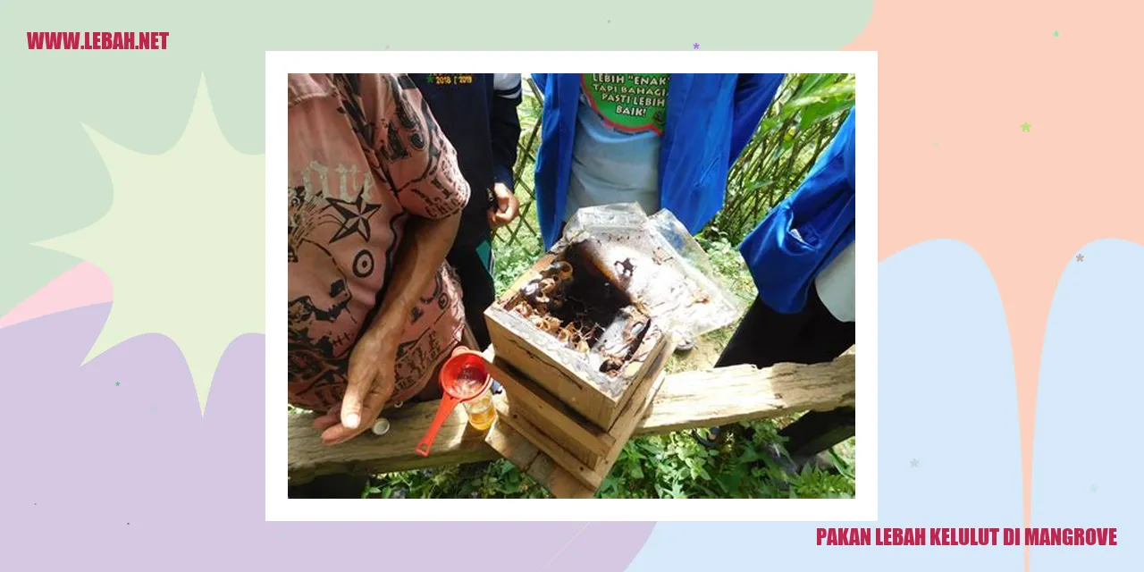 pakan lebah kelulut di mangrove