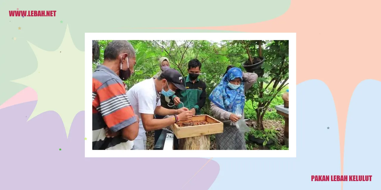 pakan lebah kelulut
