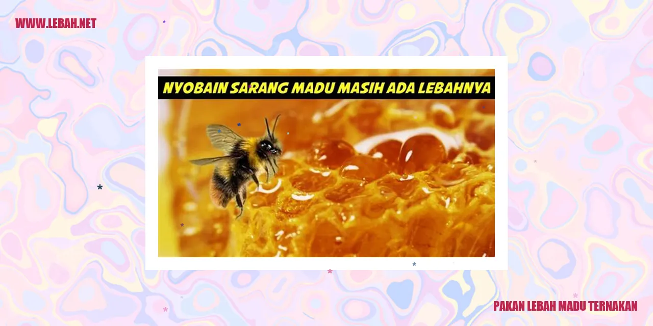 pakan lebah madu ternakan
