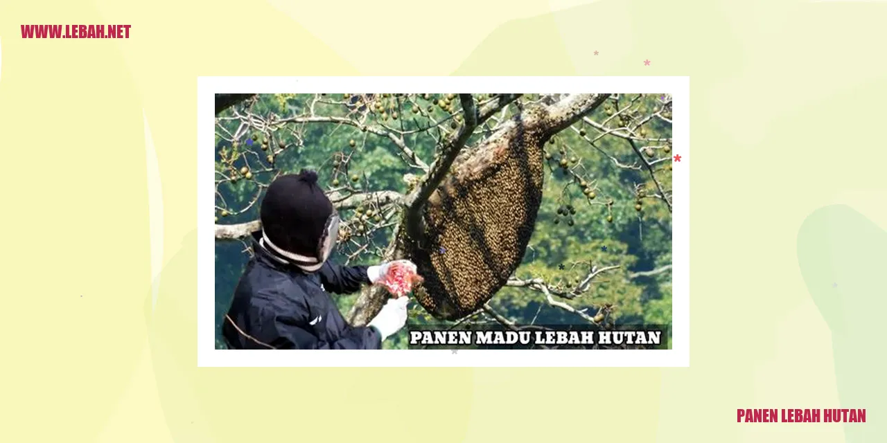 panen lebah hutan