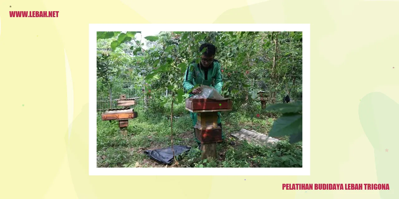 Pelatihan Budidaya Lebah Trigona