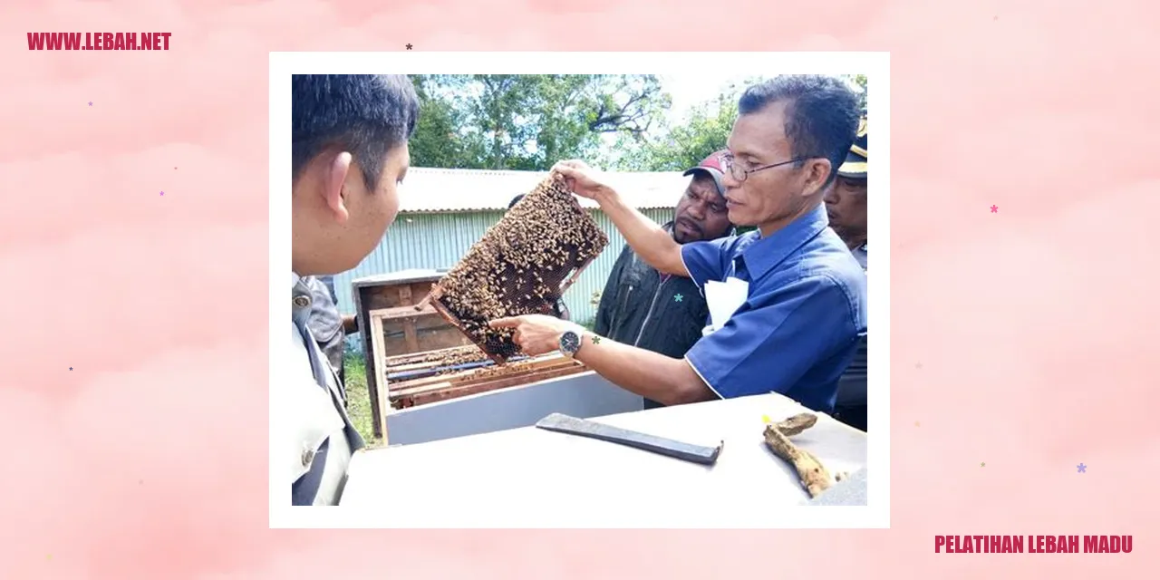 gambar pelatihan budidaya lebah madu