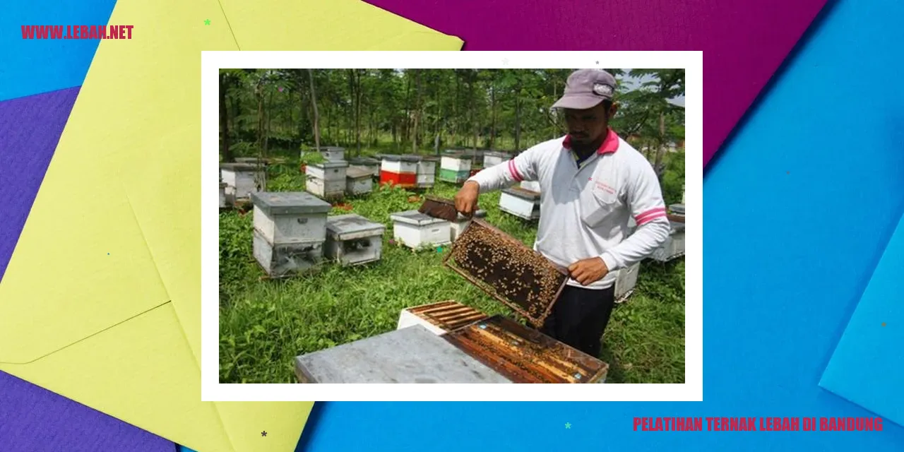 pelatihan ternak lebah di Bandung