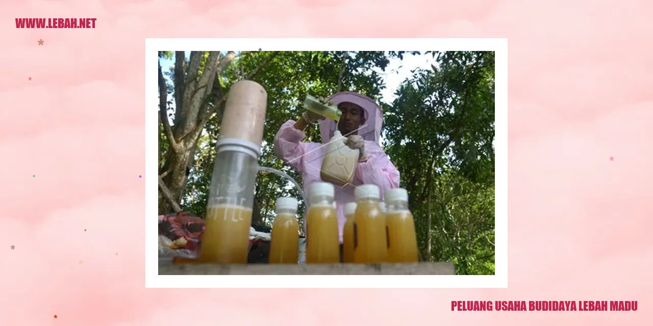 Peluang Usaha Budidaya Lebah Madu