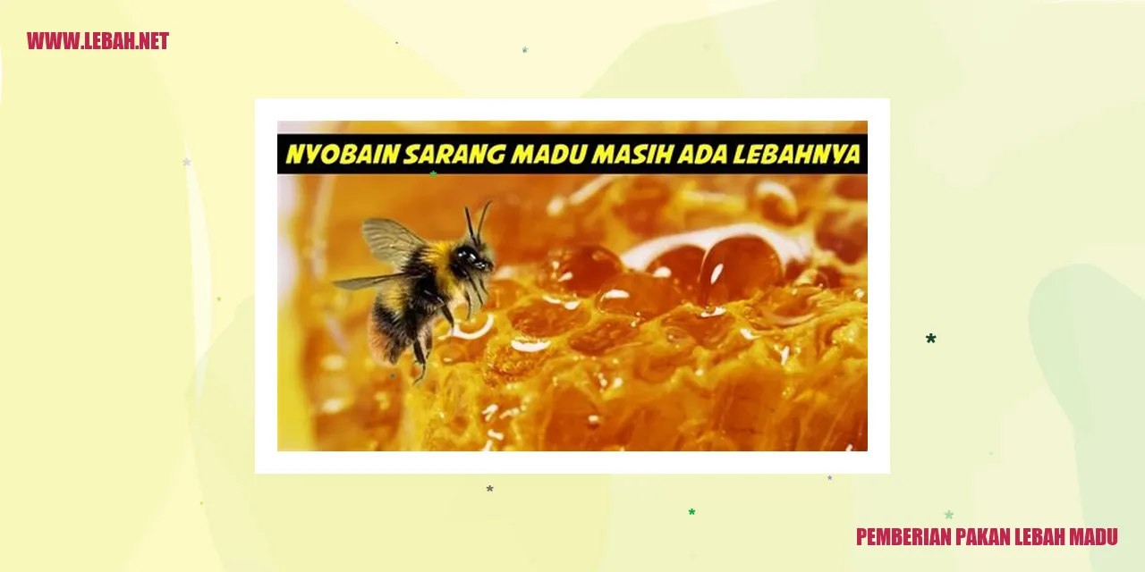 Pemberian Pakan Lebah Madu