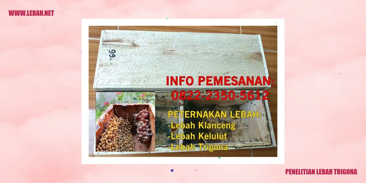 Penelitian Lebah Trigona