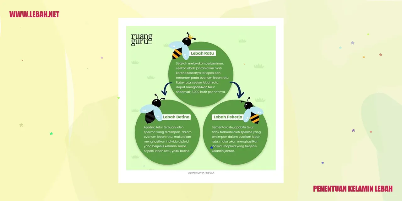 penentuan kelamin lebah