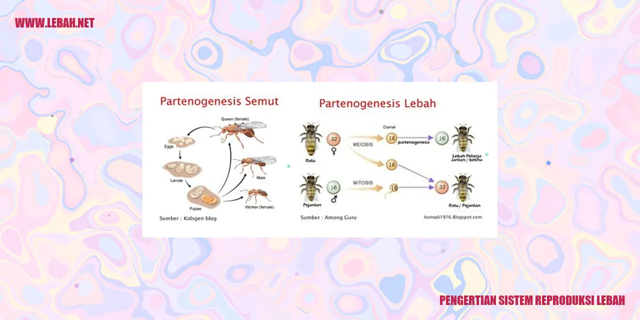 Pengertian Sistem Reproduksi Lebah