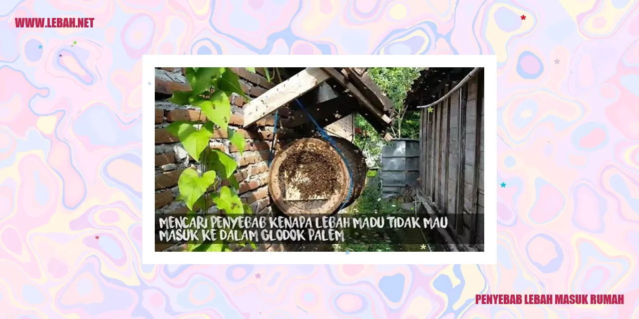 lebah masuk rumah