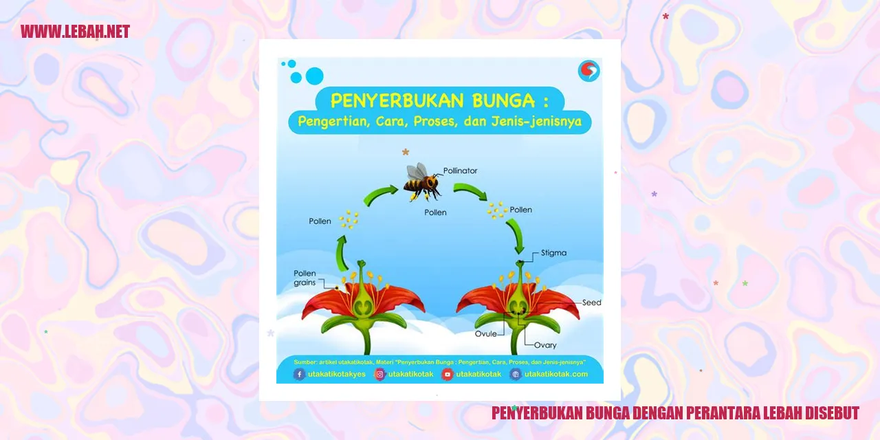 penyerbukan bunga dengan perantara lebah disebut