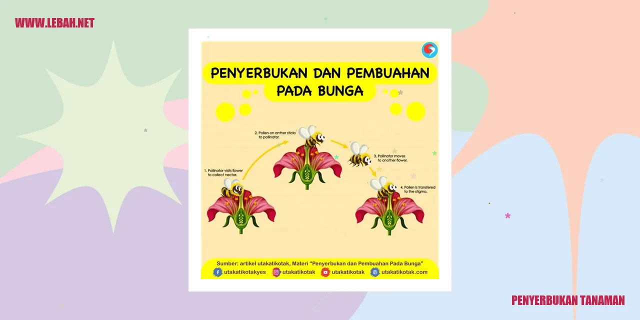 penyerbukan tanaman