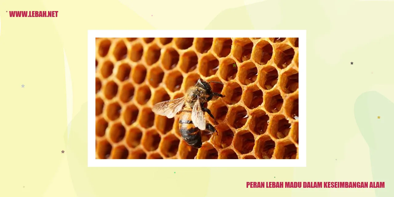 Gambar Lebah Madu