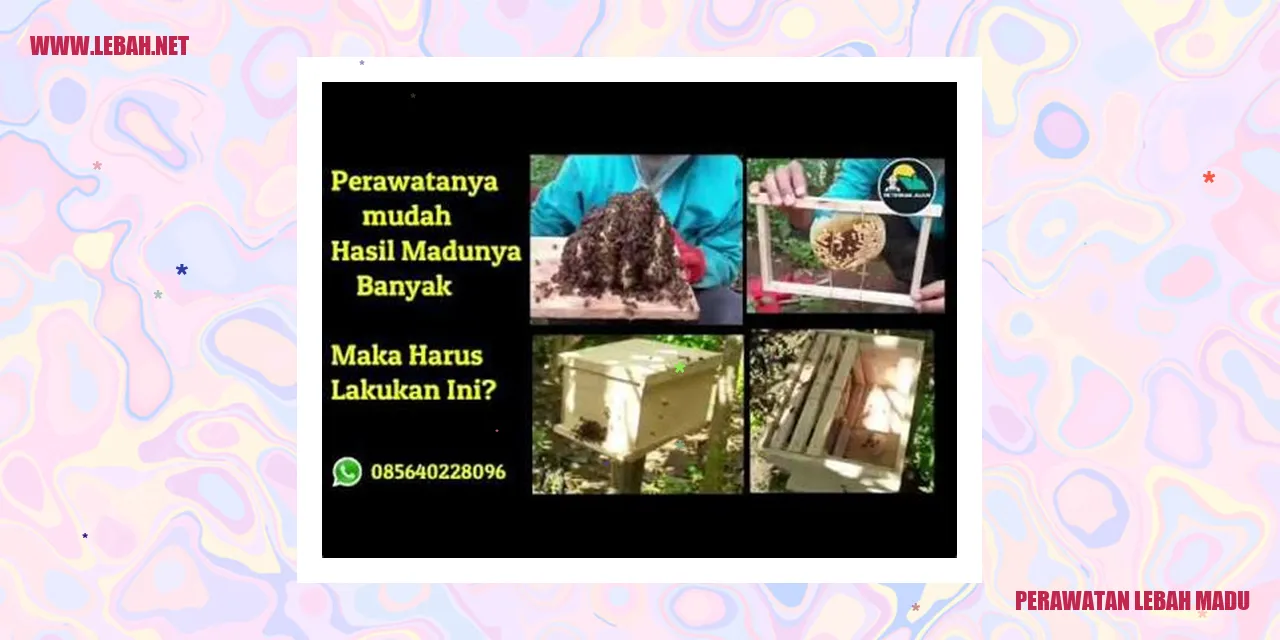 Lebah Madu