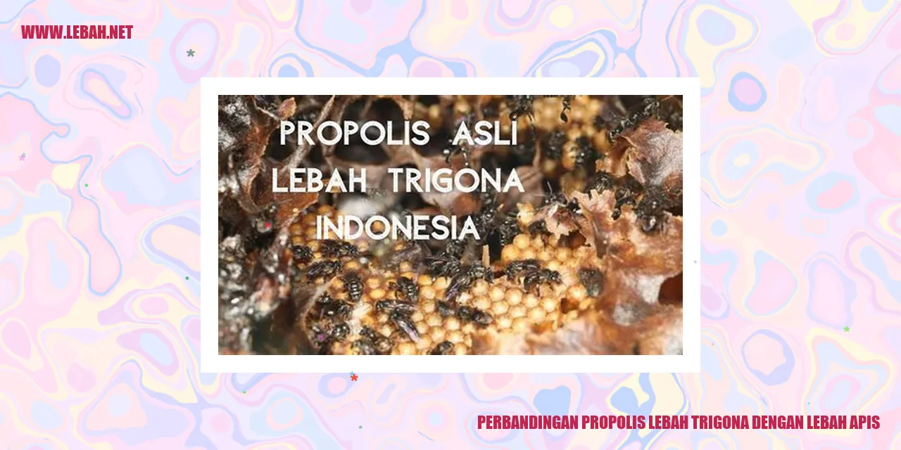 Lebah Trigona dan Lebah Apis