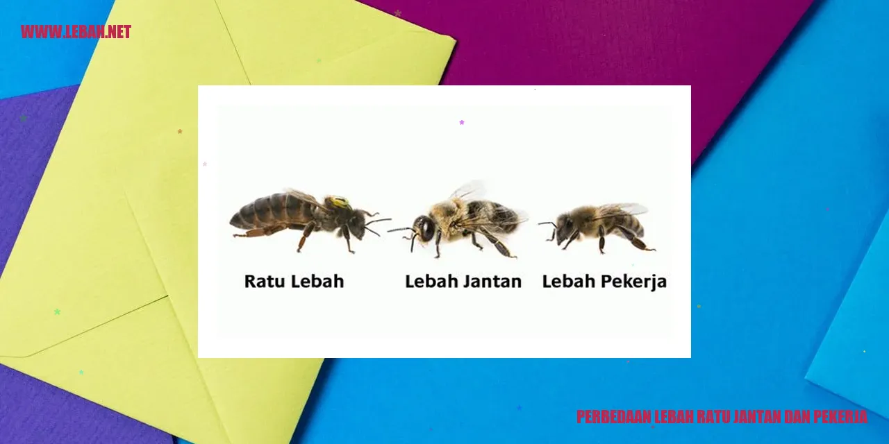 perbedaan lebah ratu jantan dan pekerja