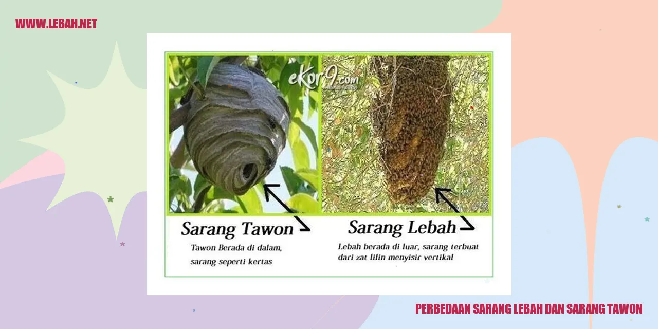 Gambar Perbedaan Sarang Lebah dan Sarang Tawon