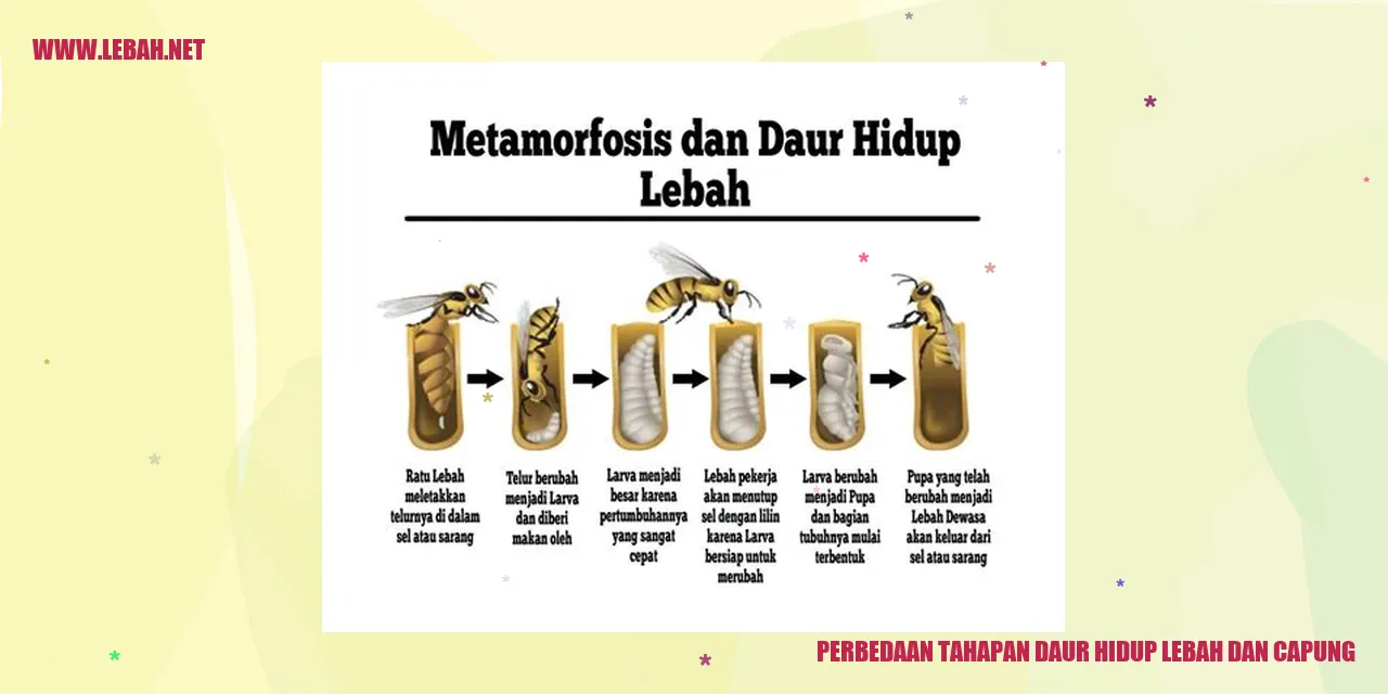 Telur Lebah dan Capung