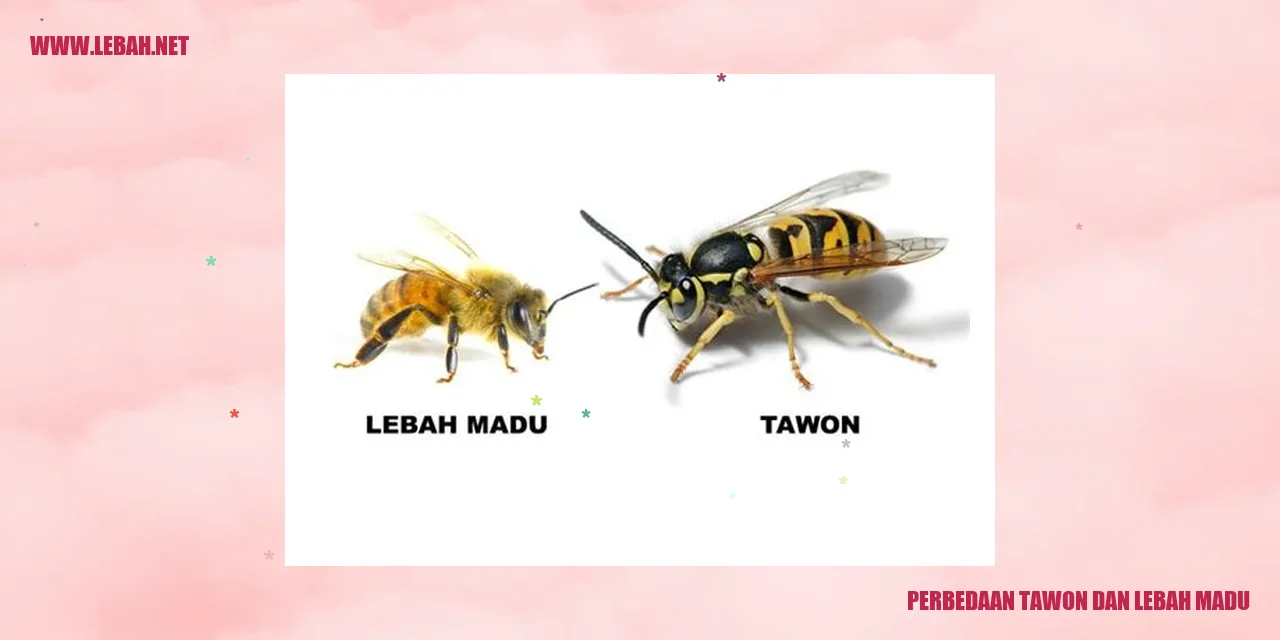 Gambar Tawon