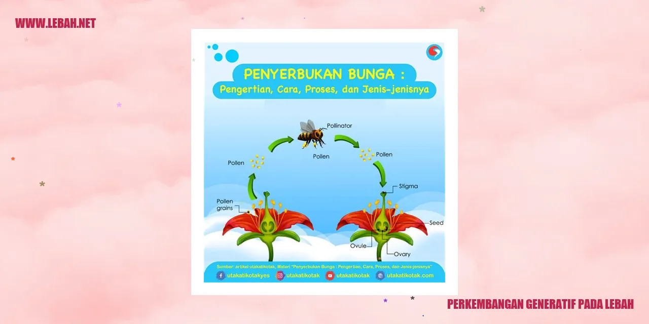 perkembangan generatif pada lebah