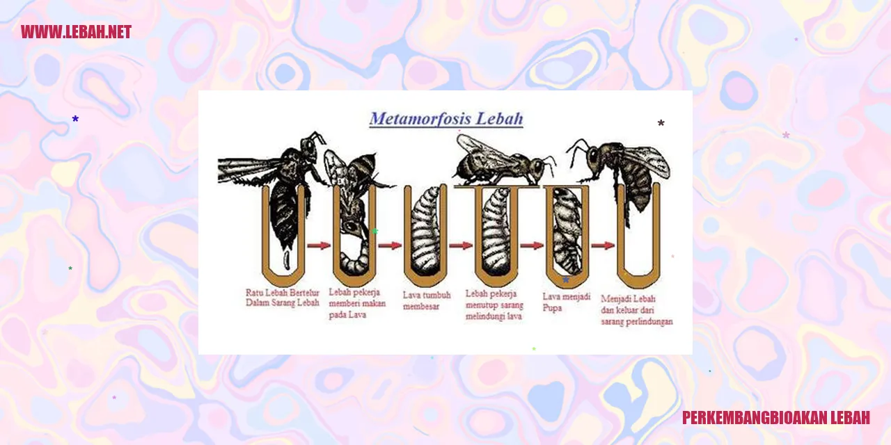Perkembangbioakan Lebah