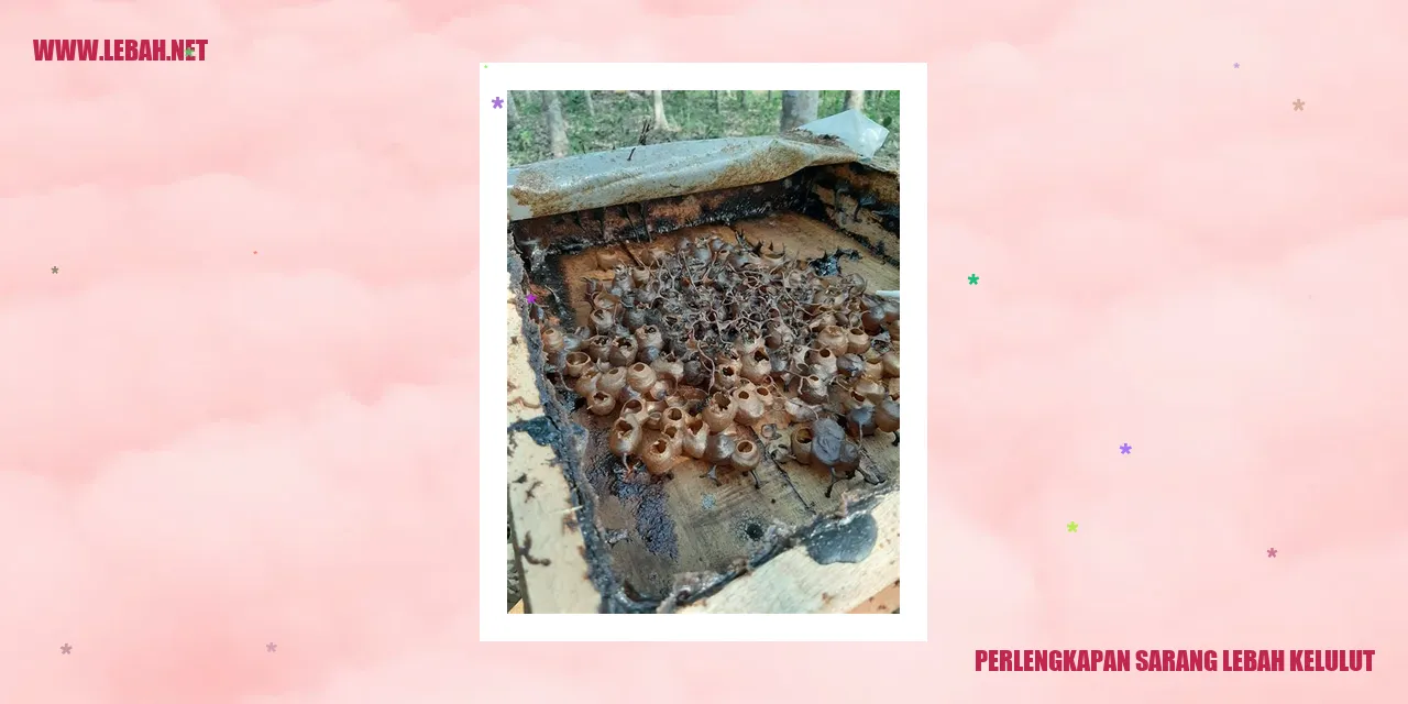 Perlengkapan Sarang Lebah Kelulut