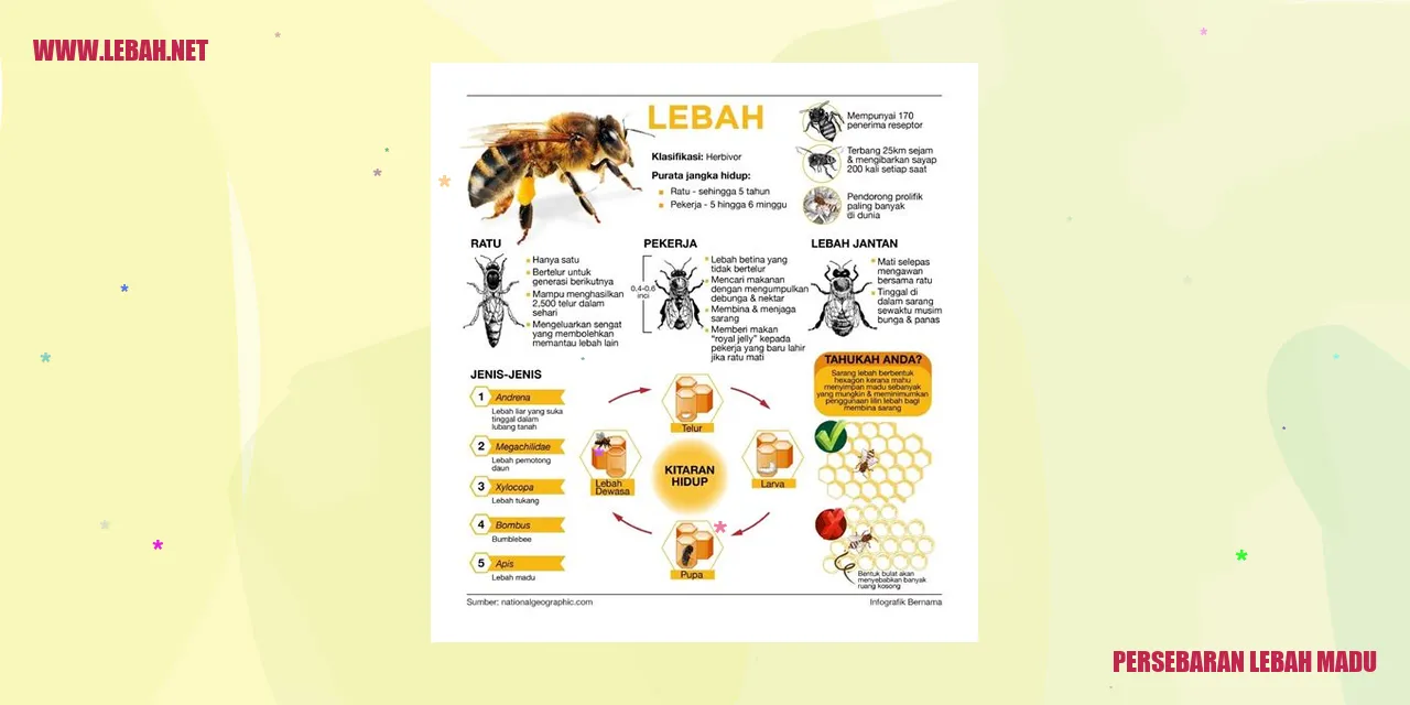 persebaran lebah madu