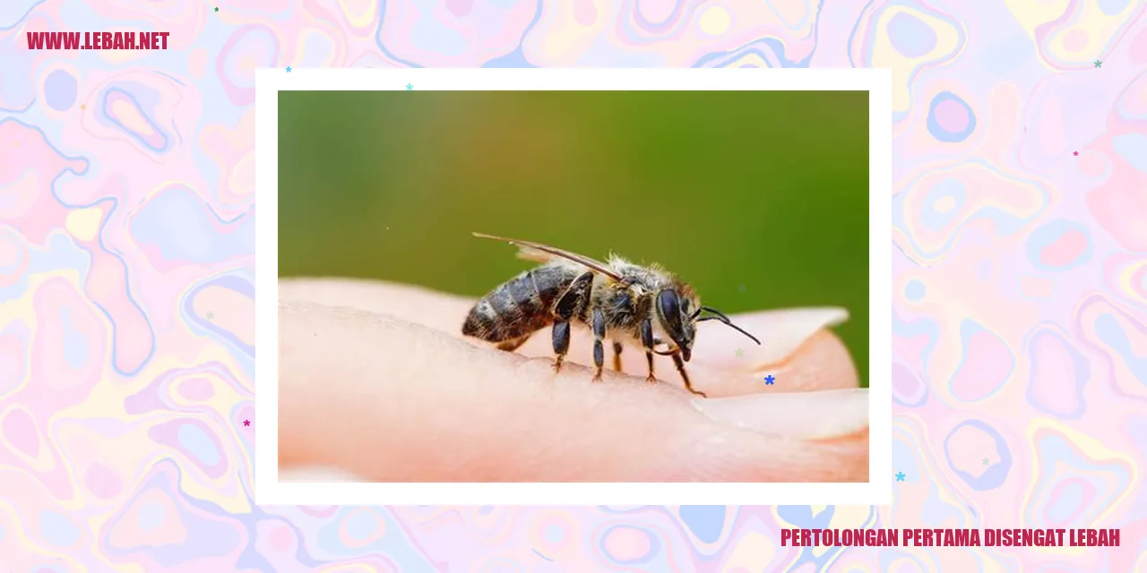 pertolongan pertama disengat lebah