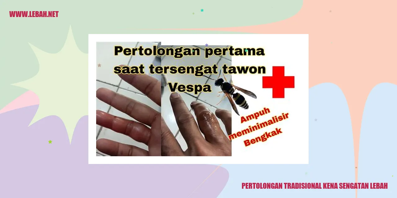 pertolongan tradisional kena sengatan lebah