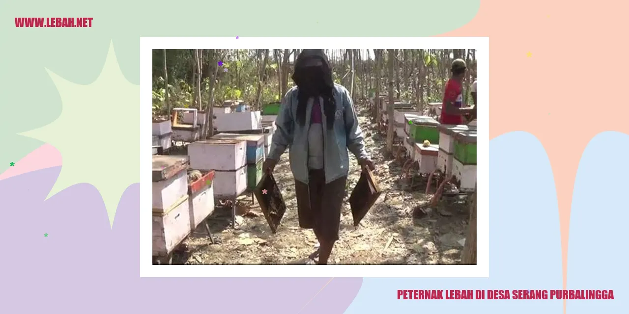 Peternak Lebah di Desa Serang Purbalingga
