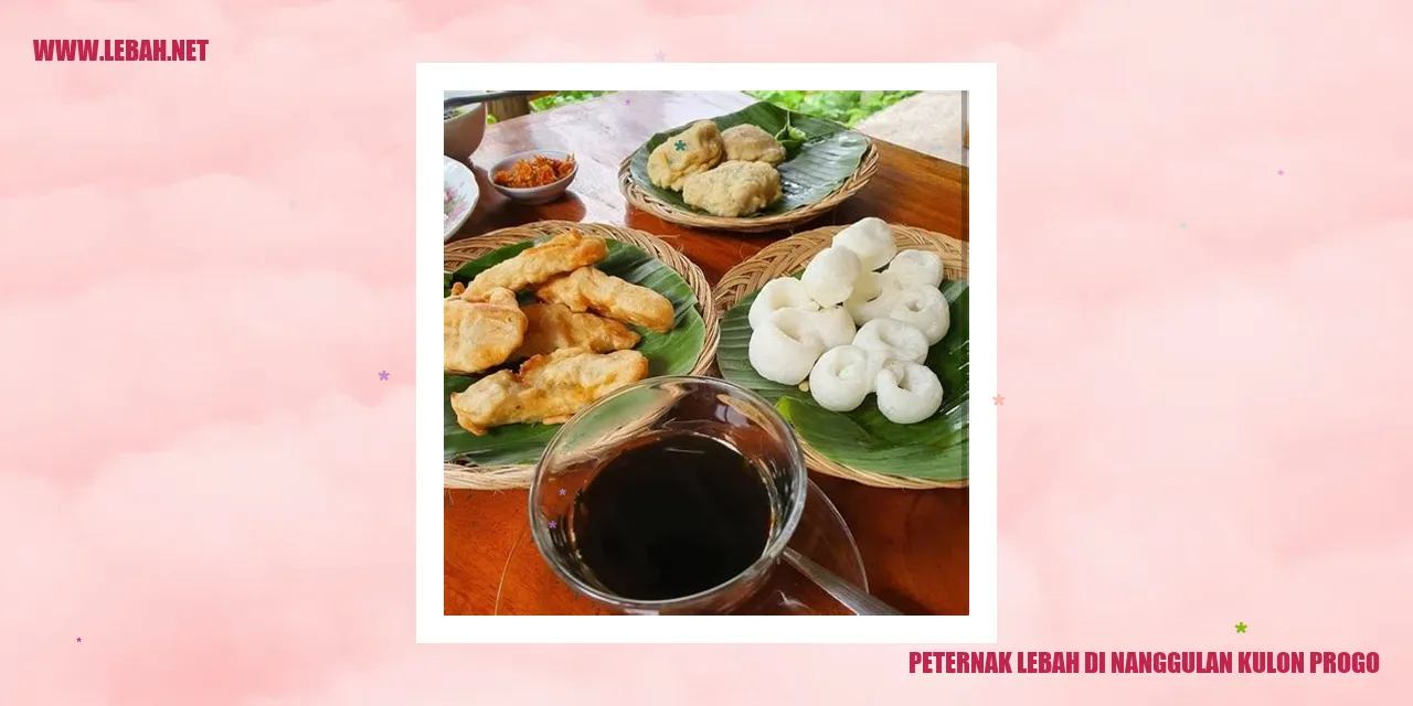 Peternak Lebah di Nanggulan, Kulon Progo