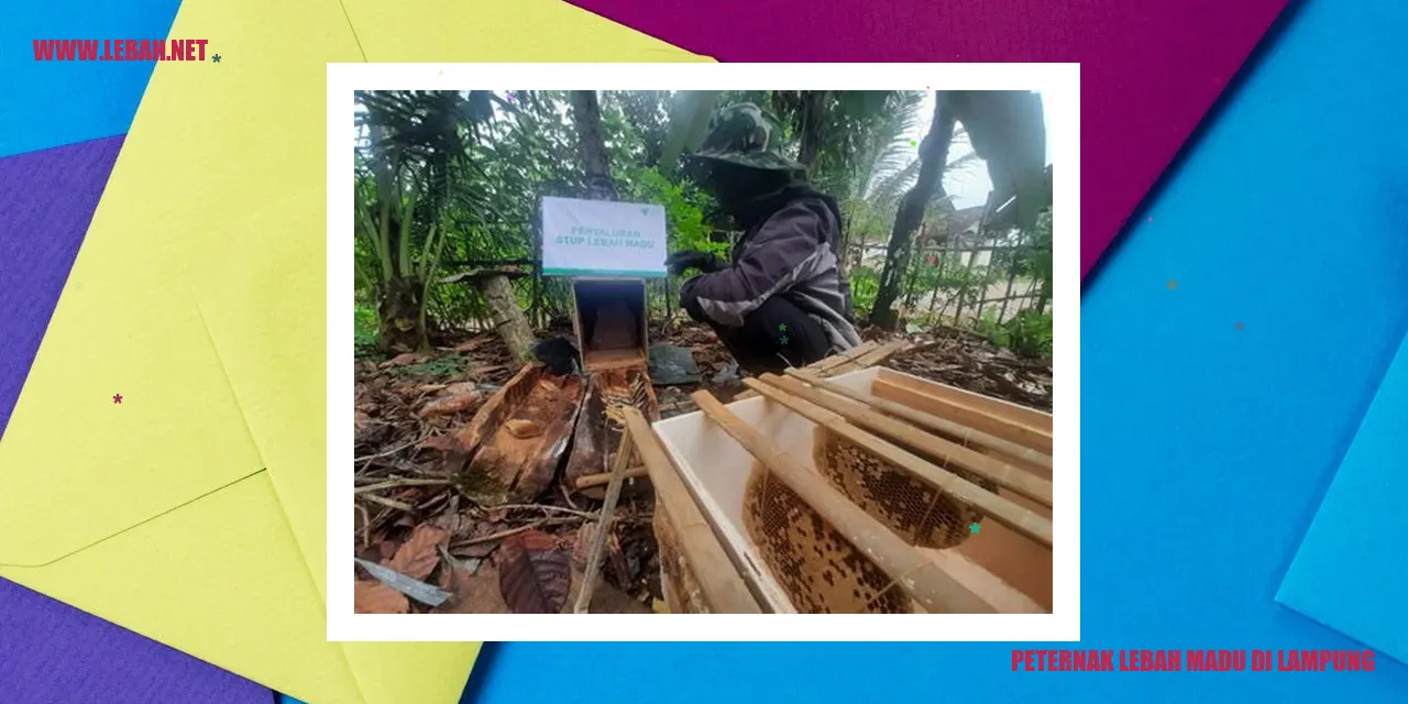 peternak lebah madu di lampung