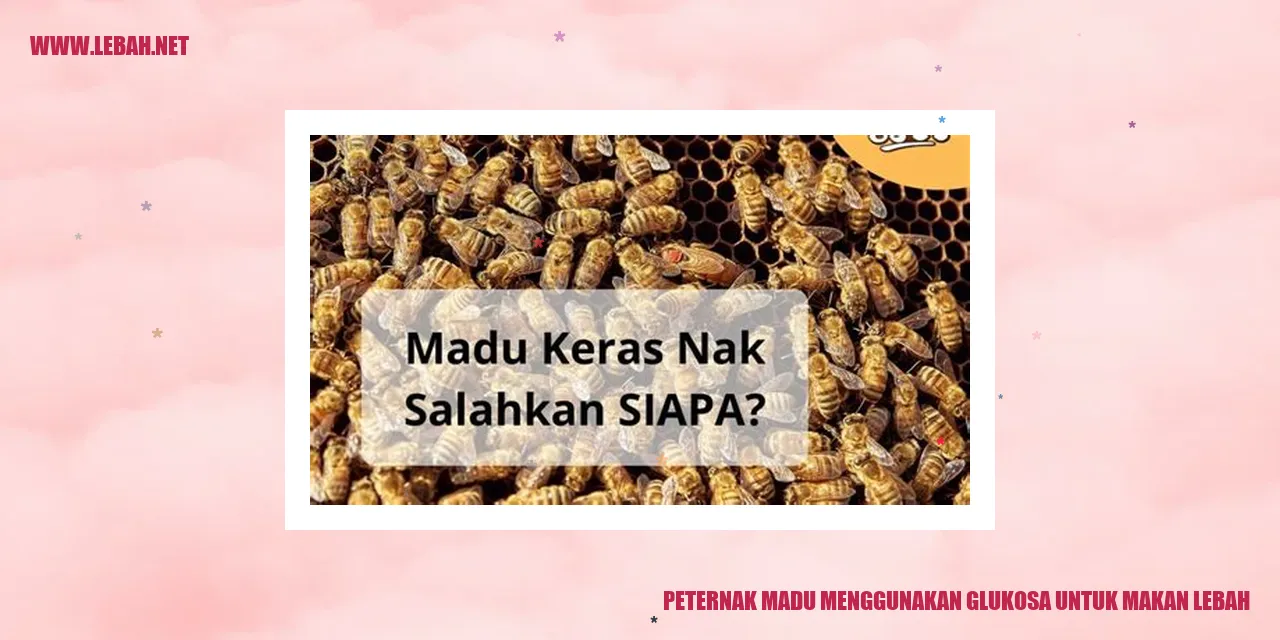 Peternak Madu Menggunakan Glukosa untuk Makan Lebah