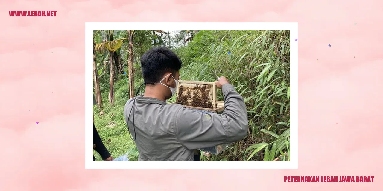 Peternakan Lebah Jawa Barat