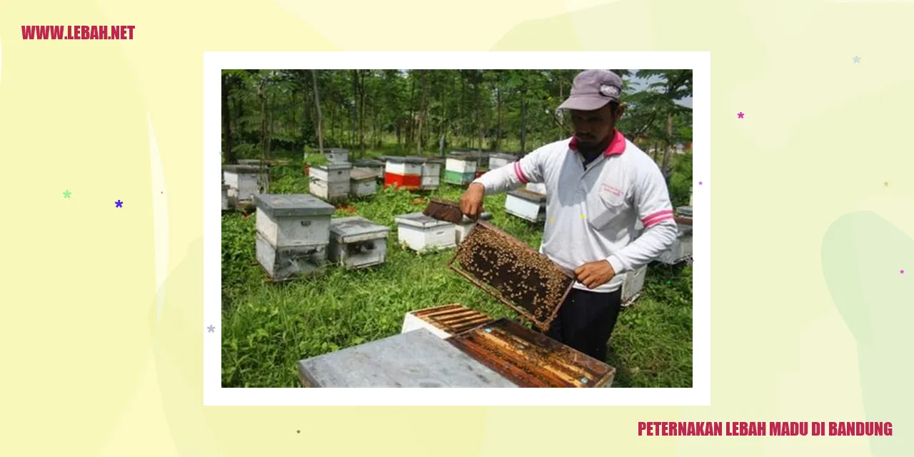 peternakan lebah madu di bandung