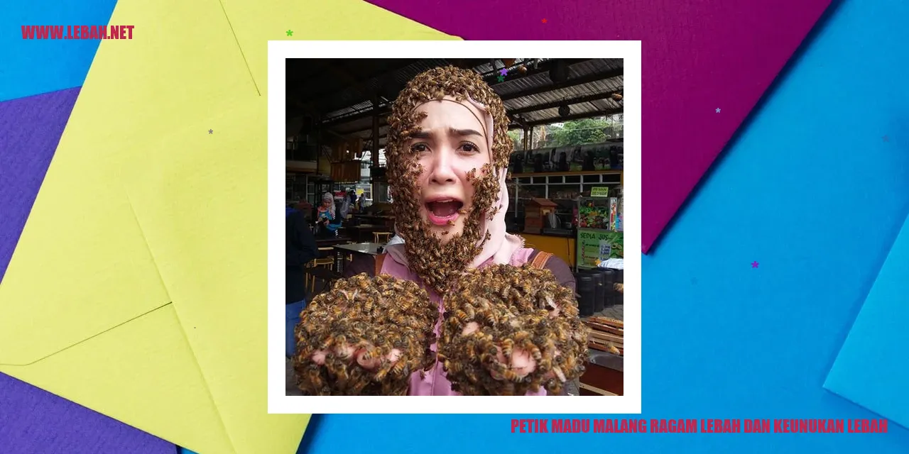 Petik Madu Malang