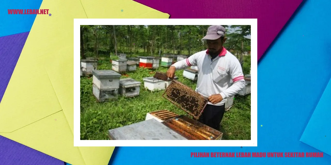 Beternak Lebah Madu untuk Sekitar Rumah