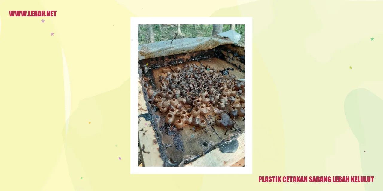 plastik cetakan sarang lebah kelulut
