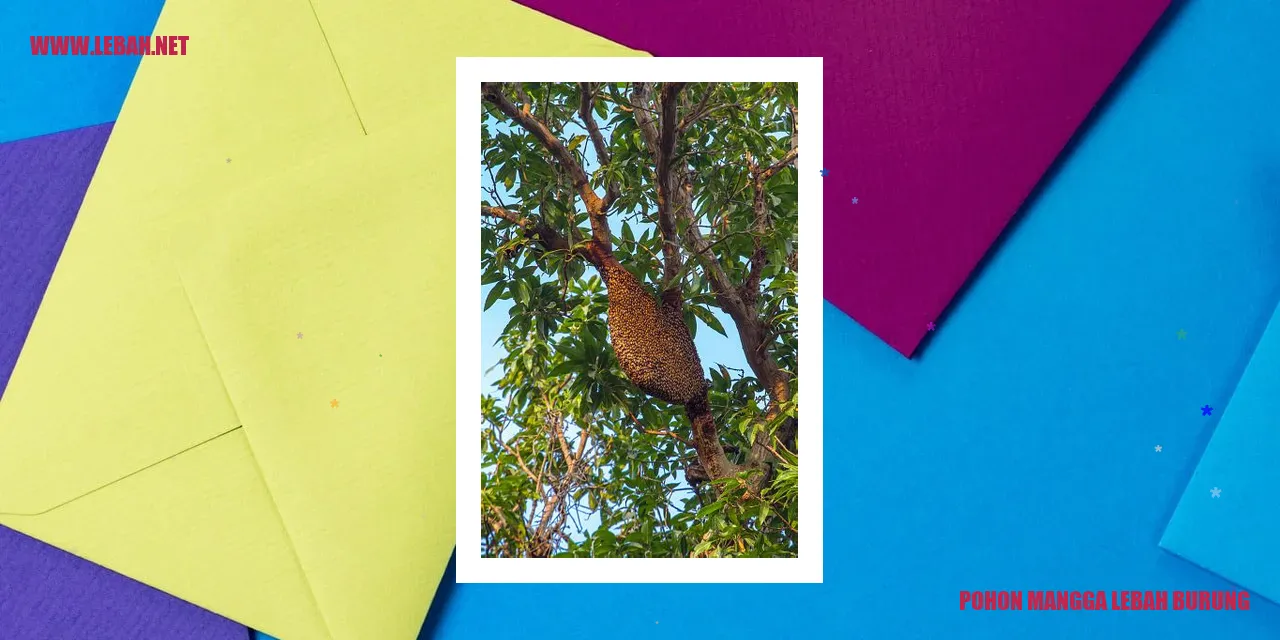 Pohon Mangga Lebah Burung