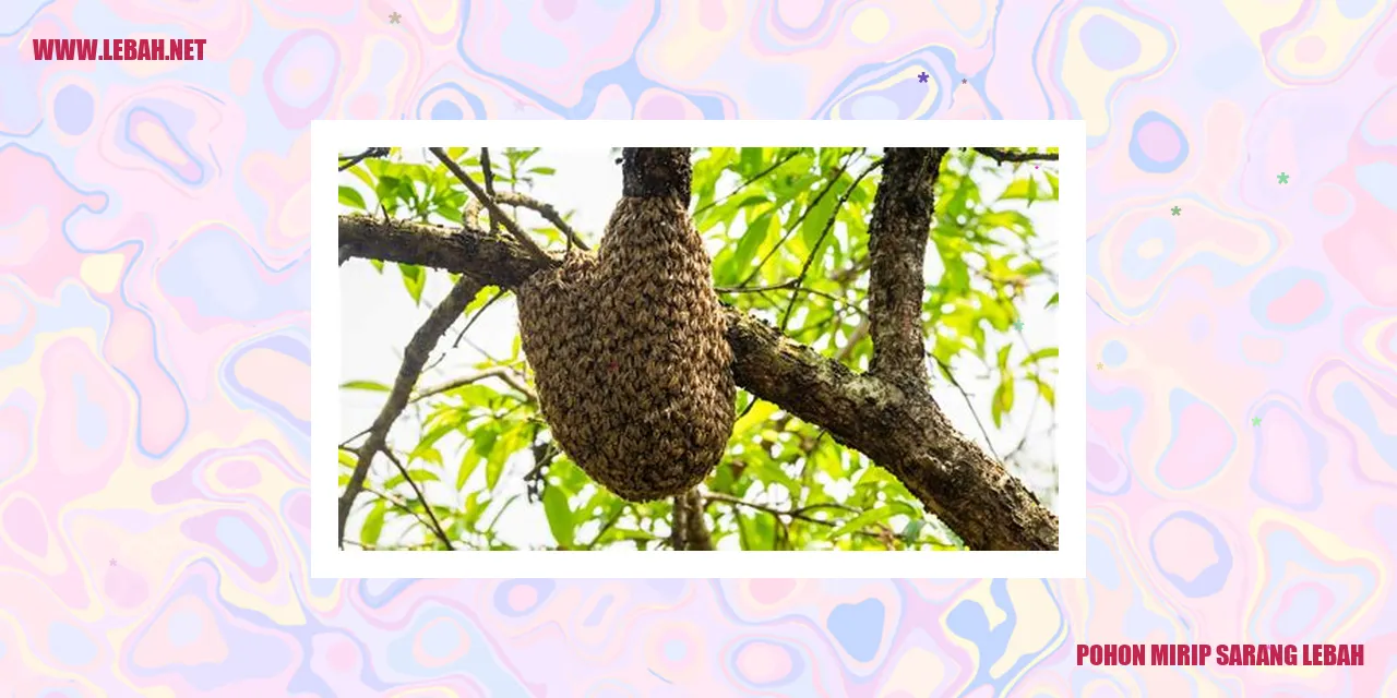 Pohon Mirip Sarang Lebah