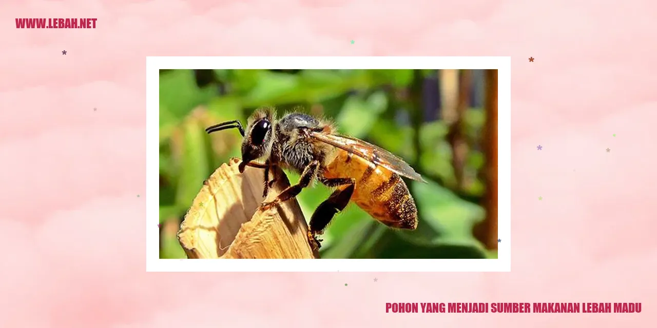 Pohon yang Menjadi Sumber Makanan Lebah Madu