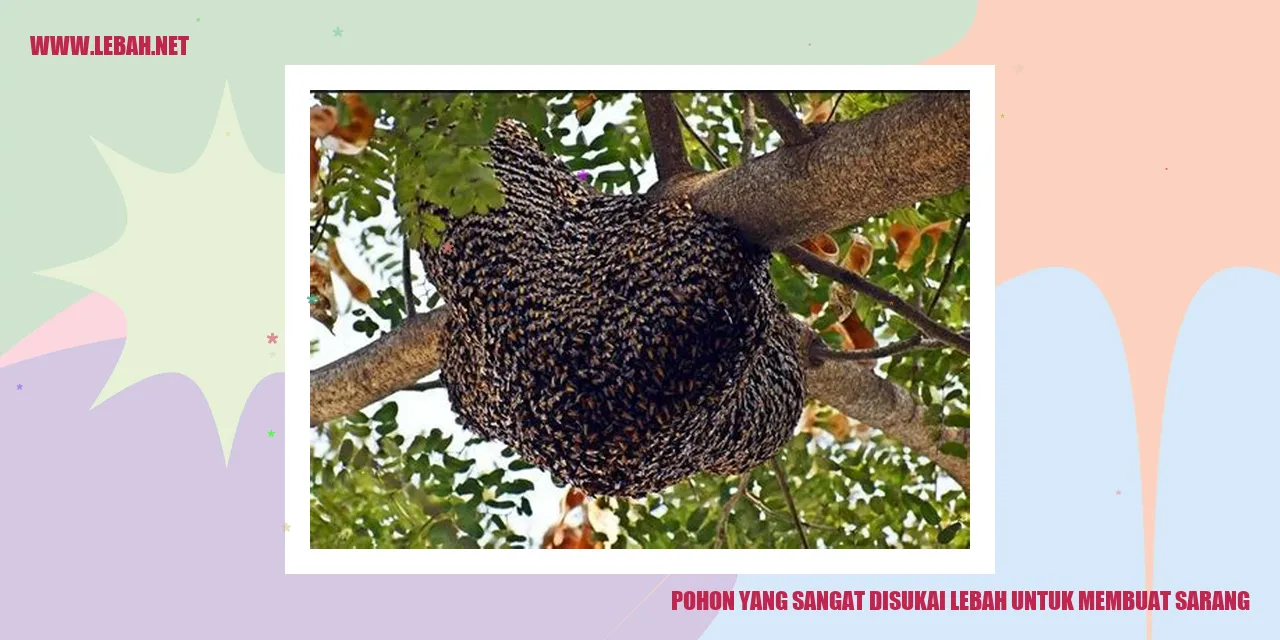 Pohon yang Sangat Disukai Lebah untuk Membuat Sarang