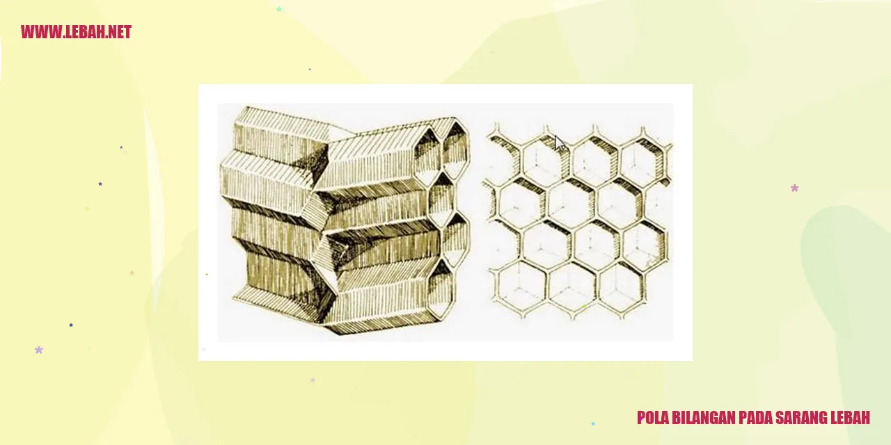 pola bilangan pada sarang lebah