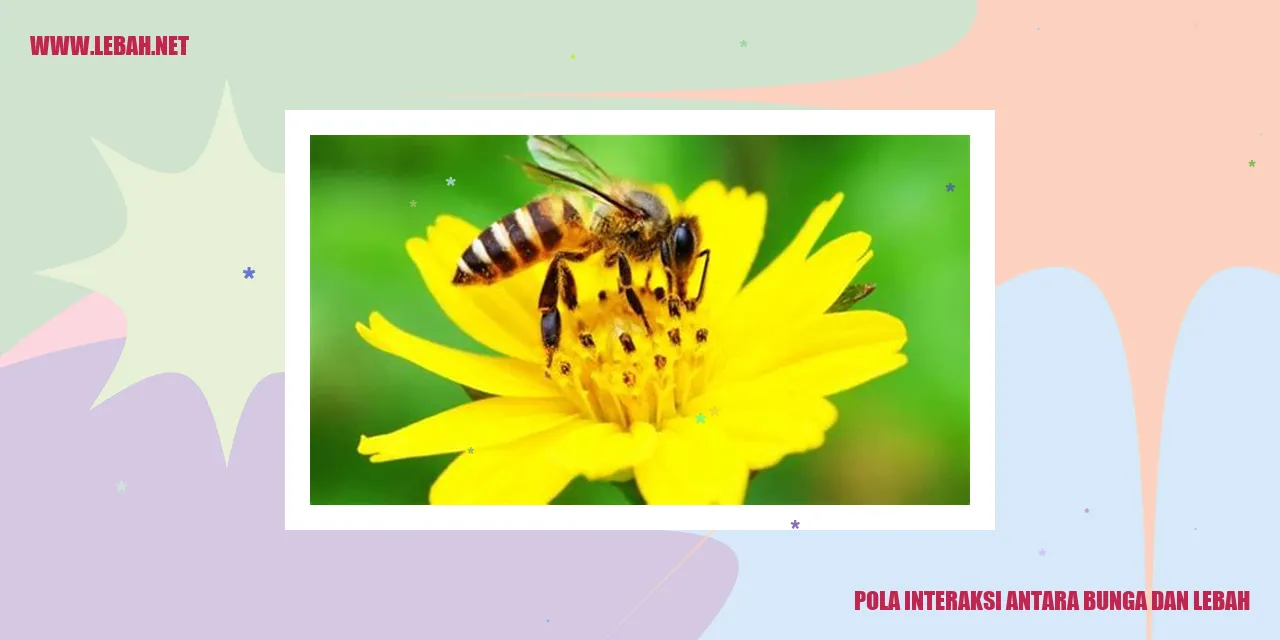 Pola Interaksi Antara Bunga dan Lebah