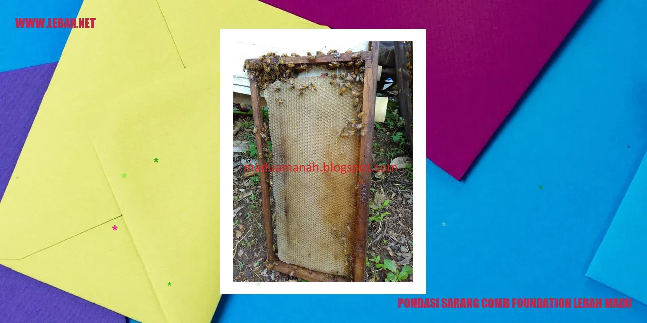 pondasi sarang comb foundation lebah madu