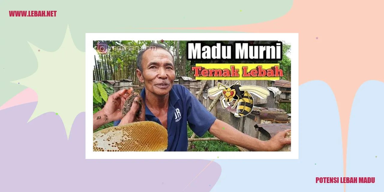 Lebah Madu