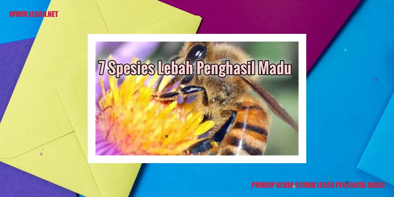 Rumah Lebah Penghasil Madu